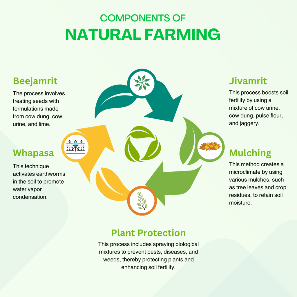 Infographic illustrating the components of natural farming: Beejamrit, Jivamrit, Mulching, Whapasa, and Plant Protection with corresponding icons and descriptions.